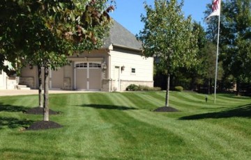 Residential and Commercial Lawn Mowing and Maintenance